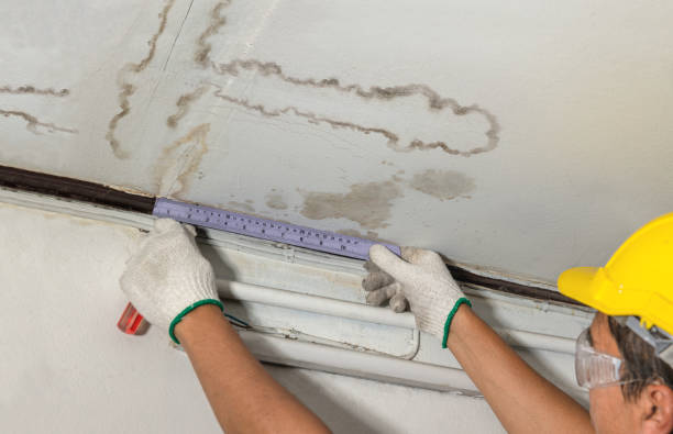 Reliable Burst Pipe Cleanup contractor in Payne, OH by Water Damage Irwin